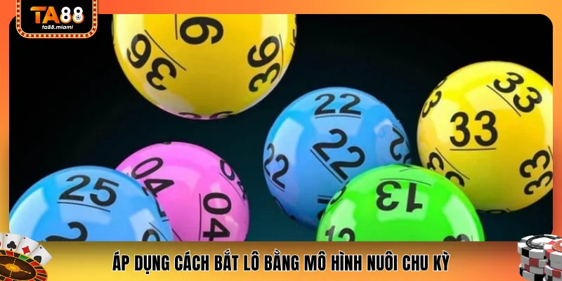 Áp dụng cách bắt lô bằng mô hình nuôi chu kỳ