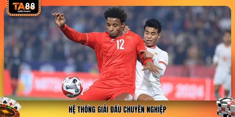 Hệ thống giải đấu chuyên nghiệp