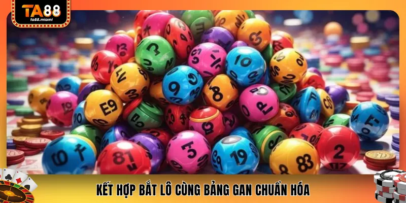 Kết hợp bắt lô cùng bảng gan chuẩn hóa