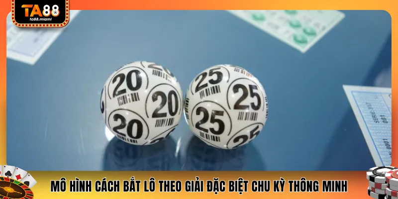Mô hình cách bắt lô theo giải đặc biệt chu kỳ thông minh