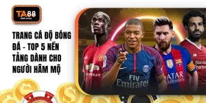 Trang Cá Độ Bóng Đá – Top 5 Nền Tảng Dành Cho Người Hâm Mộ