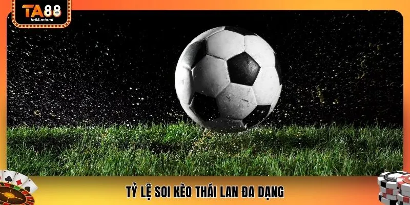 Tỷ lệ soi kèo Thái Lan đa dạng